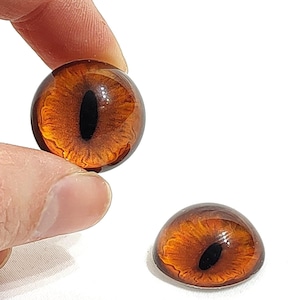 May include: Two brown glass animal eyes with black pupils. The eyes are round and have a realistic look.