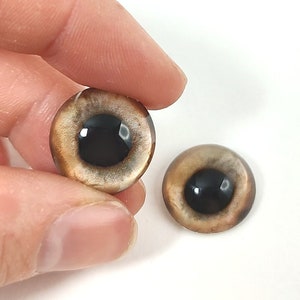 May include: Two brown glass eyes with black pupils, used for craft projects like plush toy making.