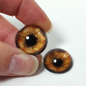 Könnte beinhalten: Zwei braune Glasaugen mit schwarzen Pupillen und einem goldenen Schimmer. Die Augen sind für die Puppenherstellung oder andere Bastelprojekte geeignet.