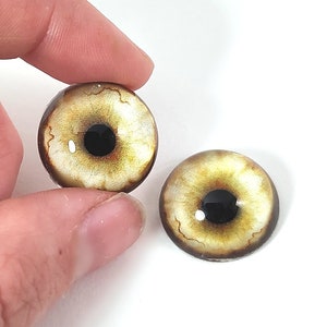May include: Two brown glass eyes with black pupils and a white iris. The eyes are round and have a textured surface.