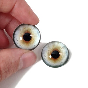 May include: Two realistic glass eyes with a grey and brown iris and a black pupil. The eyes are set against a white background.