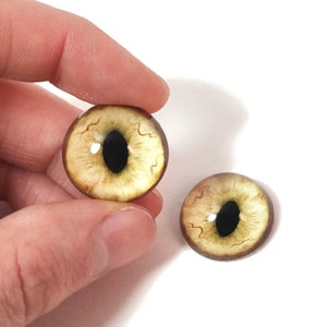 Puede incluir: Dos ojos de vidrio marrones con pupilas negras, adecuados para la fabricación de muñecas u otros proyectos de artesanía.