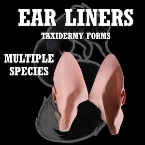 Puede incluir: La imagen muestra dos forros de orejas rosas para taxidermia, con el texto "EAR LINERS" y "TAXIDERMY FORMS" en blanco, y "MULTIPLE SPECIES" en blanco. El fondo es negro con un contorno gris de un animal.
