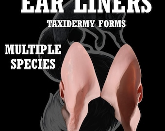 Paar taxidermie-oordopjes – handgemaakte plastic inzetstukken voor wasbeer, bobcat, vos en coyote – taxidermie inzetstukken voor kleine zoogdieren
