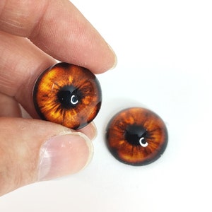 May include: Two glass doll eyes with a detailed, realistic design. The eyes have a dark brown iris with a black pupil and a bright orange and yellow outer ring. One eye is held by a hand, the other is on a white surface.