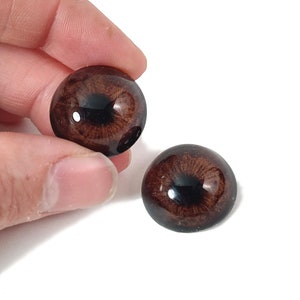 May include: Two brown glass doll eyes with black pupils. The eyes are round and have a realistic appearance.