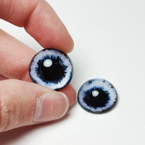 May include: Two black and white glass eyes with a blue ring around the pupil. The eyes are for craft projects.