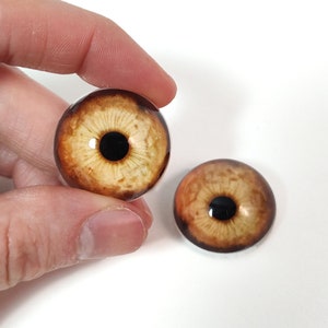 May include: Two brown glass eyes with black pupils, perfect for doll making or other craft projects.