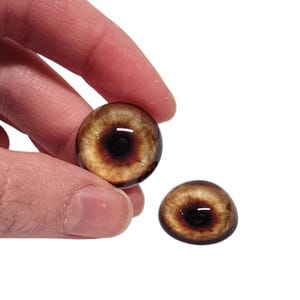 May include: Two brown and yellow glass eyes with black pupils. The eyes are round and have a realistic look.