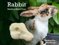 Medium Rabbit Taxidermy Form, Change Out Domestic Rabbit Foam Head, Made to Order