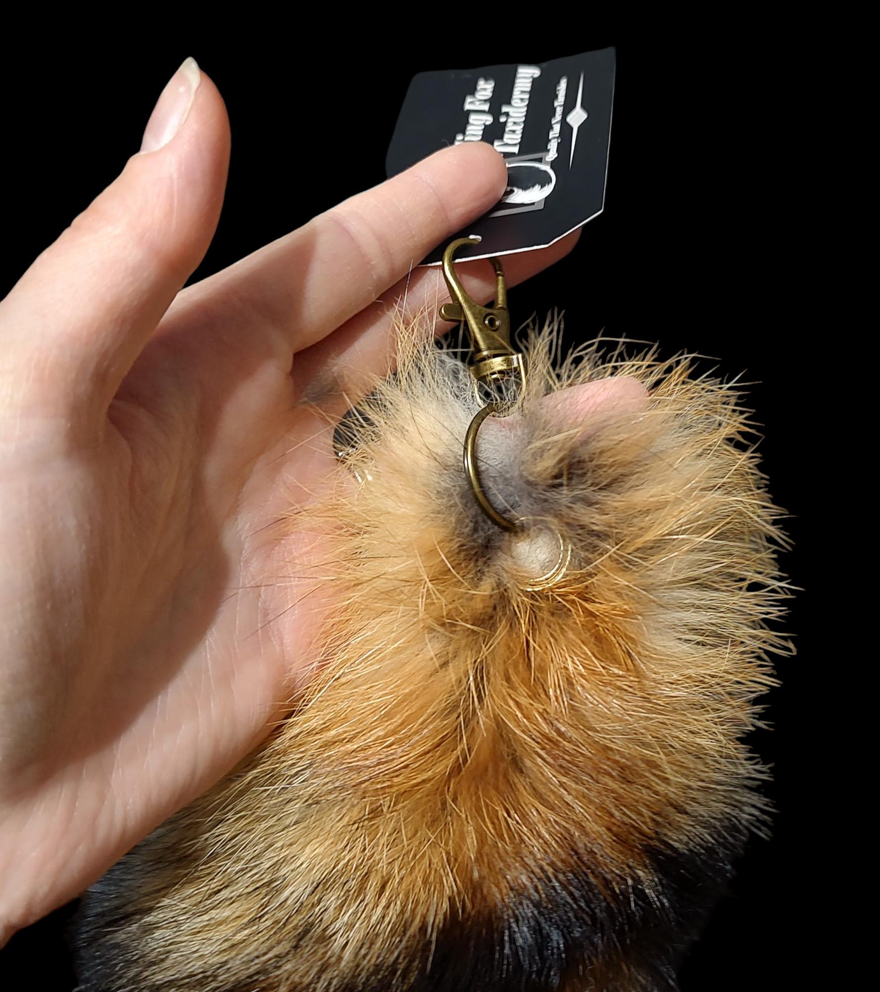Porte-clés Queue De Renard En Fausse Fourrure - Pendentif Doux Et Moelleux Pour Clés, Sacs, Décoration DIY - 5