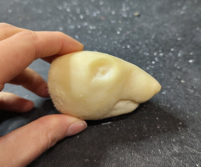 May include: A light yellow, rounded object resembling a small animal head, held by a hand. The object has a textured surface and a pointed snout. The background is a dark, speckled surface.