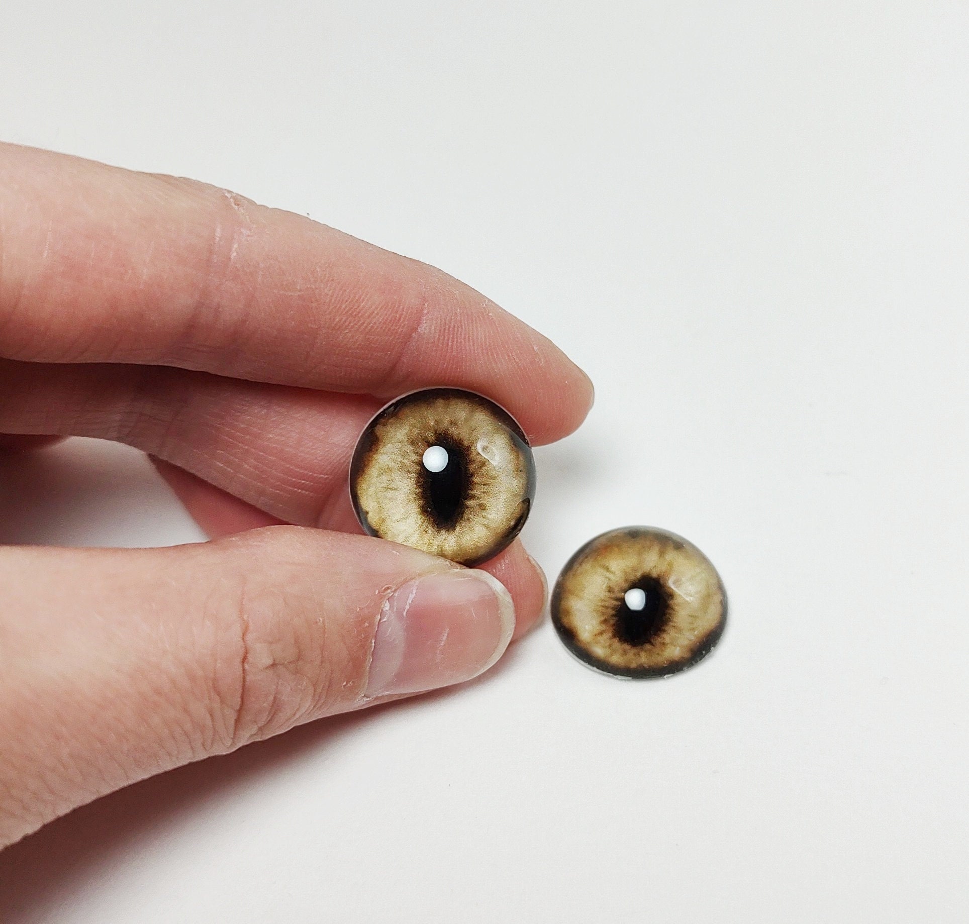 Dark Golden Fox RF13 Taxidermy Eyes, Glass Eyes, Craft Eyes, Made