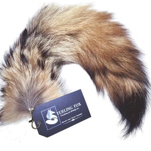 May include: A brown and black fox tail with a black tip. The tail is attached to a silver ring and a black tag that says "TERLING FOX - Taxidermy and Wildlife Art - Quality that Never Tarnishes".