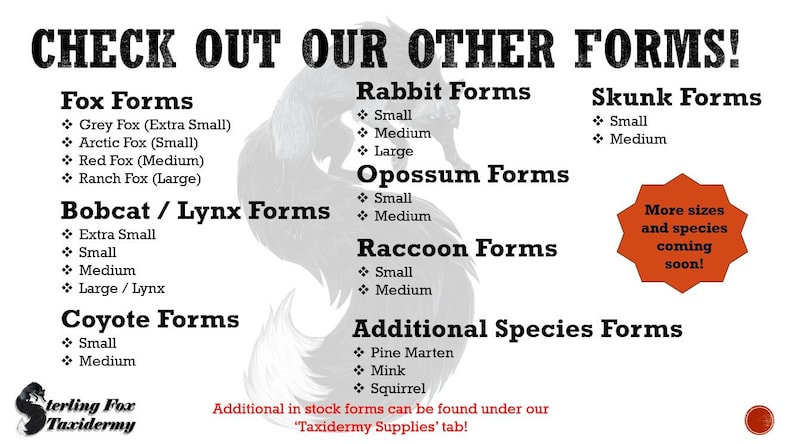 Rabbit Taxidermy Head Form – Rabbit Change-out Form for Soft Mount or ...