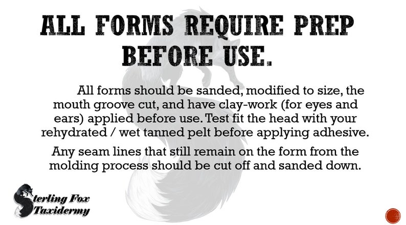 May include: A white background with black text that reads "ALL FORMS REQUIRE PREP BEFORE USE." Instructions for taxidermy forms are below the text. The Sterling Fox Taxidermy logo is in the lower left corner.