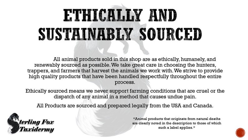Pode incluir: Imagem em preto e branco de uma raposa com o texto "Ethically and Sustainably Sourced" no topo. O texto abaixo explica que todos os produtos animais vendidos na loja s&atilde;o de origem &eacute;tica, humana e renov&aacute;vel. O texto tamb&eacute;m afirma que a loja tem muito cuidado na escolha dos ca&ccedil;adores, ca&ccedil;adores de armadilhas e agricultores que colhem os animais. O texto tamb&eacute;m afirma que a loja se esfor&ccedil;a para fornecer produtos de alta qualidade que foram manuseados com respeito durante todo o processo. O texto tamb&eacute;m afirma que os produtos de origem &eacute;tica significam que a loja nunca apoia as condi&ccedil;&otilde;es de cria&ccedil;&atilde;o que s&atilde;o cru&eacute;is ou o abate de um animal por um m&eacute;todo que causa dor indevida. O texto tamb&eacute;m afirma que todos os produtos s&atilde;o obtidos e preparados legalmente nos Estados Unidos e no Canad&aacute;. O texto tamb&eacute;m afirma que os produtos animais que se originam em mortes naturais s&atilde;o claramente indicados na descri&ccedil;&atilde;o para aqueles a quem se aplica essa etiqueta.