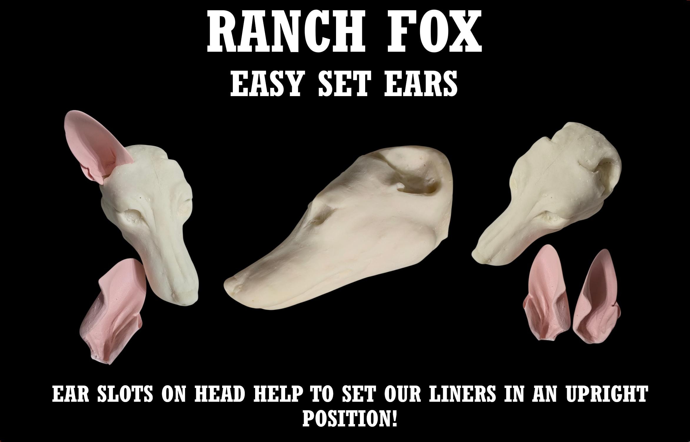 Taxidermy Ear Liner Pairs – Handmade Plastic Ear Inserts for Raccoon ...