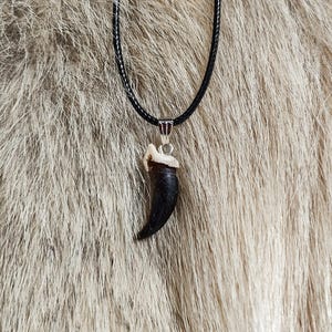 Pode incluir: Um pingente de garra de animal preto em um colar de cord&atilde;o preto. A garra est&aacute; presa a uma argola de prata.