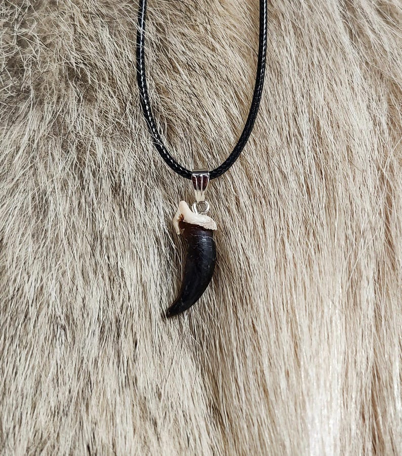 Pode incluir: Um pingente de garra de animal preto em um colar de cord&atilde;o preto. A garra est&aacute; presa a uma argola de prata.