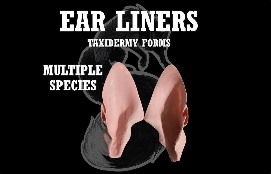 Taxidermy Ear Liner Pairs – Handmade Plastic Ear Inserts for Raccoon ...