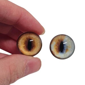 May include: Two glass eye cabochons with a cat-eye design. One eye is primarily brown with a black slit pupil, and the other is brown and blue with a black slit pupil. The eyes are round and have a glossy finish.