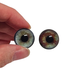May include: Two glass eye cabochons. One eye is blue-green with a black pupil, the other is brown with a black pupil. The irises have detailed veining. The eyes are round and have a reflective surface.