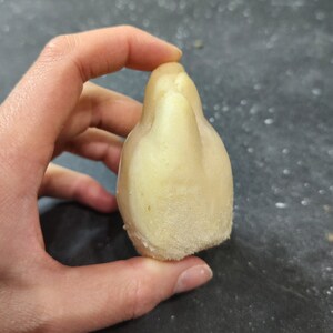 May include: A light-colored, irregularly shaped object with a textured base. The object is held in a hand, and appears to be made of a soft material. The object's shape is reminiscent of a small, abstract sculpture.