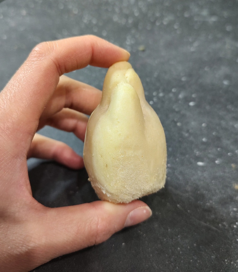 May include: A light-colored, irregularly shaped object with a textured base. The object is held in a hand, and appears to be made of a soft material. The object's shape is reminiscent of a small, abstract sculpture.