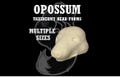 Opossum Taxidermy Head Form – Opossum Change-Out Form for Soft Mount or Traditional Mounts, Multiple Sizes