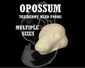 Opossum Taxidermy Head Form – Opossum Change-Out Form for Soft Mount or Traditional Mounts, Multiple Sizes