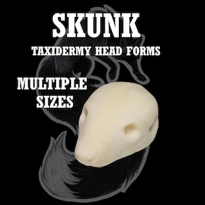 Könnte beinhalten: Eine cremefarbene Skunk-Taxidermie-Kopfform vor schwarzem Hintergrund. Der Text "SKUNK TAXIDERMY HEAD FORMS MULTIPLE SIZES" ist in Weiß dargestellt. Eine skizzierte Skunk-Silhouette befindet sich hinter der Kopfform.