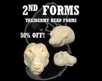 Taxidermy Head Forms - 2nd Quality Discounted forms, Change-Out Form for Soft Mount or Traditional Mounts, Multiple Sizes and Species