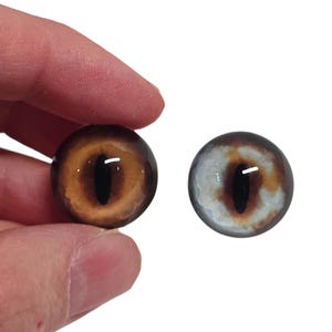 May include: Two glass eye cabochons. One eye is a warm brown with a black pupil, the other is a similar design but with a white and grey background. The eyes are round and have a glossy finish.