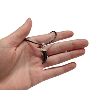 Pode incluir: Um colar de cord&atilde;o de couro preto com um pingente de prata em forma de garra de animal marrom e branco.