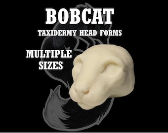 Forme de tête de taxidermie de lynx roux / lynx - Forme de rechange pour chat lynx roux pour une monture souple ou une monture traditionnelle, plusieurs tailles