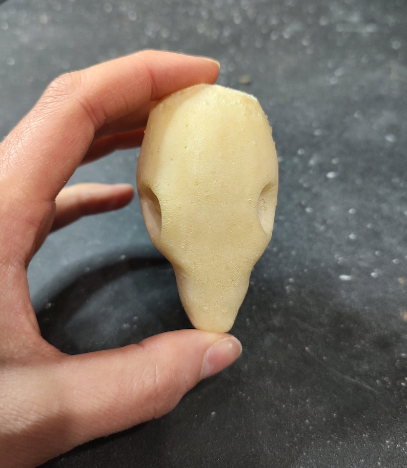 May include: A light yellow, oblong-shaped object with two circular indentations, held in a hand against a dark background. The object has a smooth texture and a rounded base, resembling a stylized form.