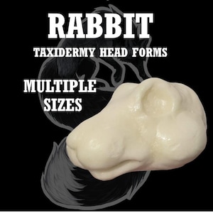 Puede incluir: Un molde de cabeza de conejo de taxidermia de color crema sobre un fondo negro. El texto "RABBIT TAXIDERMY HEAD FORMS MULTIPLE SIZES" se muestra en blanco. Un contorno gris de un conejo está detrás de la forma de la cabeza.