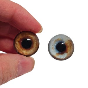 May include: Two glass doll eyes with dark pupils. One eye is brown with a golden hue, and the other is blue and brown. The eyes are round and have a glossy finish. They are held against a white background.