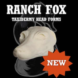 Molde de cabeza de zorro de rancho para taxidermia – Molde intercambiable para zorro para montaje blando o montajes tradicionales FX-L