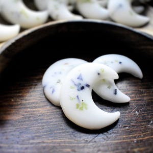 EnchantMint - Creativity Intention Wax Melts with Crystals and Botanicals | Tart Lemon & Crisp Mint Scent
