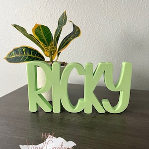 Letrero con nombre para niños, Letrero con nombre personalizado, Decoración de habitación para niños, Independiente, Decoración de estantería, Decoración de repisa