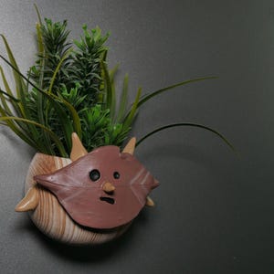 Puede incluir: Una maceta de cerámica marrón y beige con forma de cara de dibujos animados con una planta verde que crece en la parte superior.