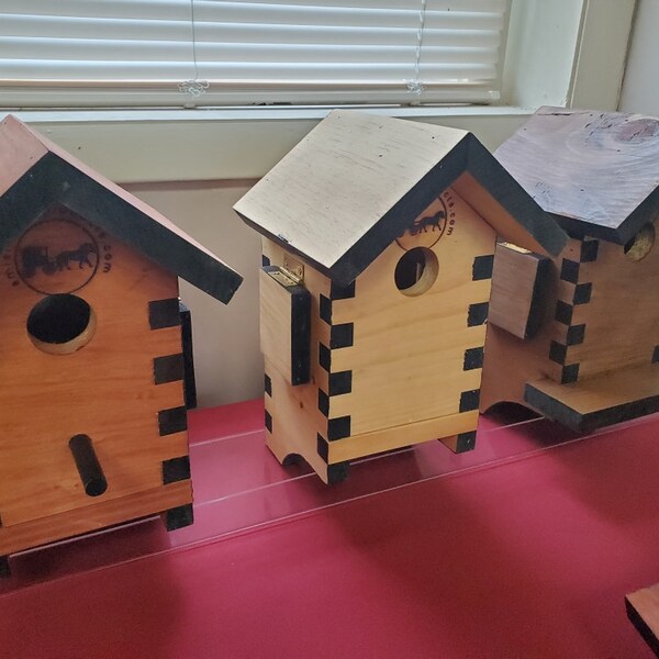 Bird Houses for Sale Etsy