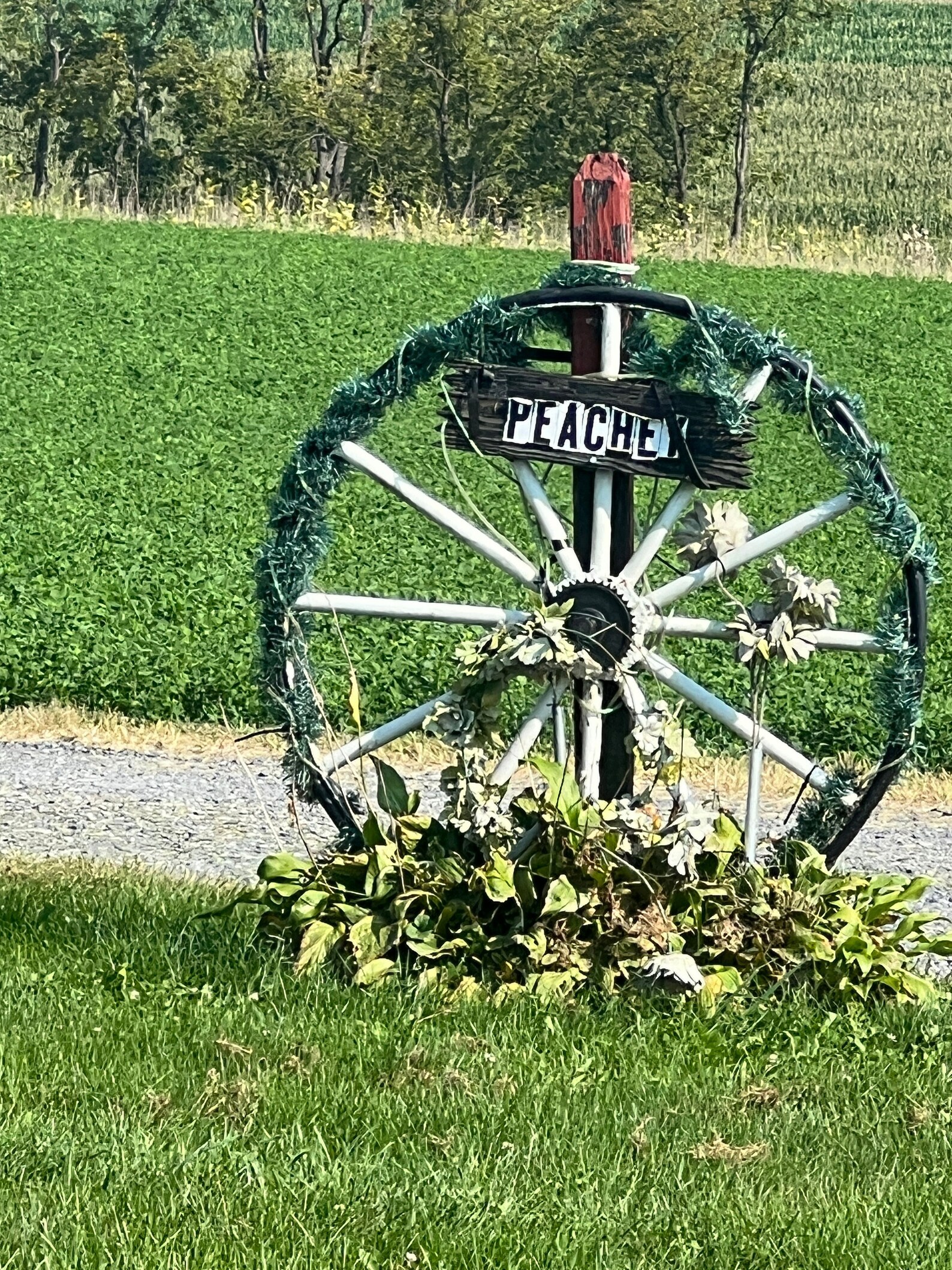 Authentic Used Amish Country Wagon Wheels for Sale, These Buggy Wheels