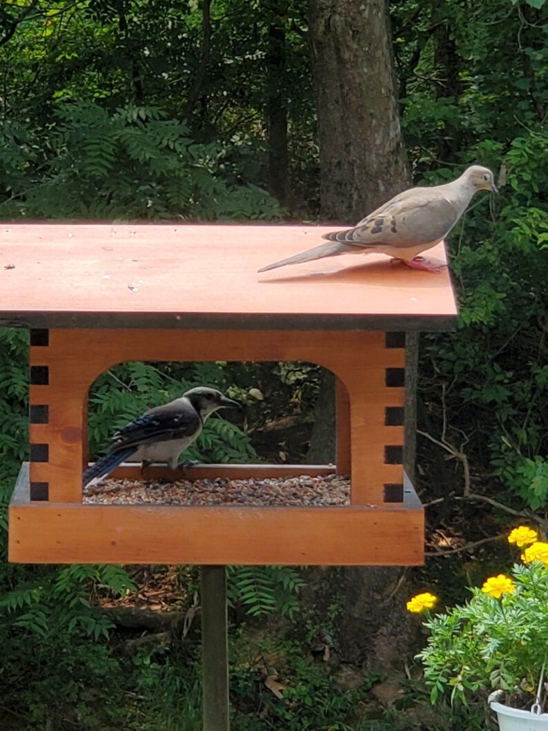Bird Feeder Amish Handmade From Pine Wood Best Bird Feeders Etsy