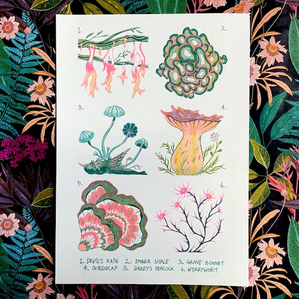 Strange Fungi A5 Riso / Risograph Print