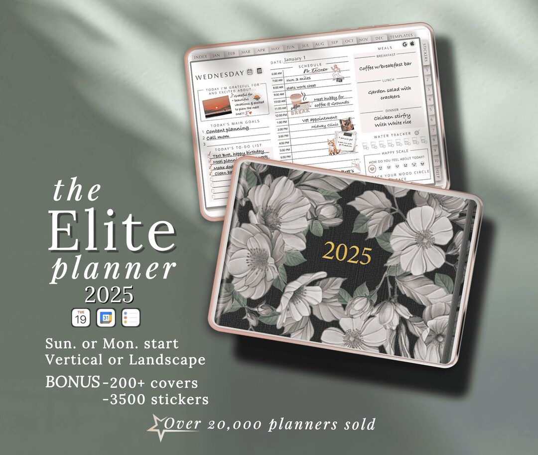 Digital Planner 2025 Goodnotes Template for Ipads and Tablets ...