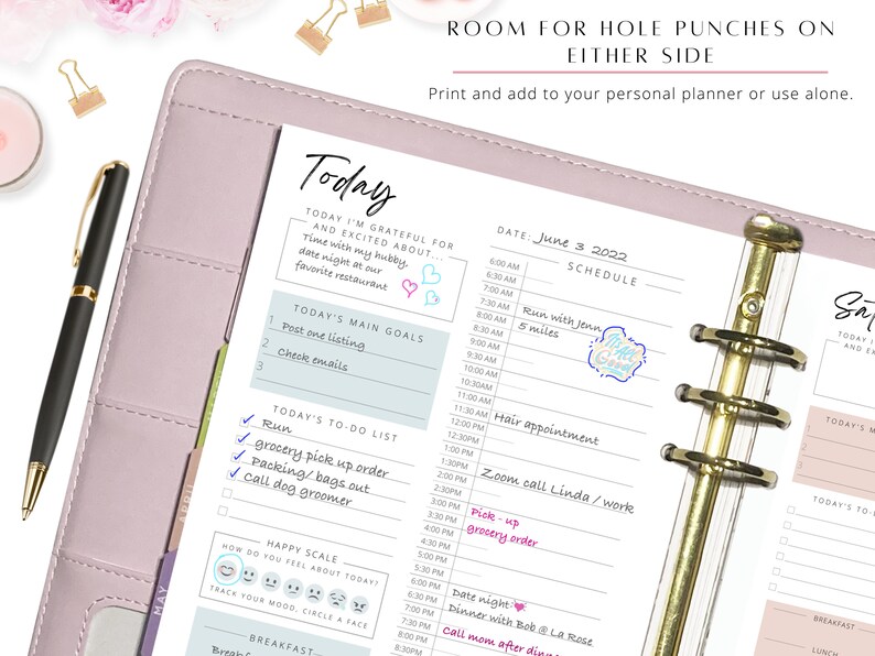 May include: A pink and white daily planner with a gold binder ring. The planner has a daily schedule, a to-do list, and a mood tracker. The date is June 3, 2022. The text "Room for hole punches on either side" is at the top of the page.