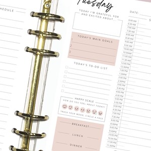 May include: A pink and white daily planner with a gold binder. The planner has sections for scheduling, to-do lists, and goal setting. It also includes a mood tracker with a happy scale.